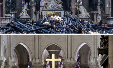 Inspiring Pictures: Gleaming Notre Dame to Reopen for Christmas Over Five Years After Devastating Fire