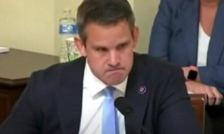 ZINGER! Nancy Mace Slams RINO Adam Kinzinger Amid Restroom Controversy: “Even Though You Don’t Have Balls Anymore, You Can Still Use The Men’s Room”