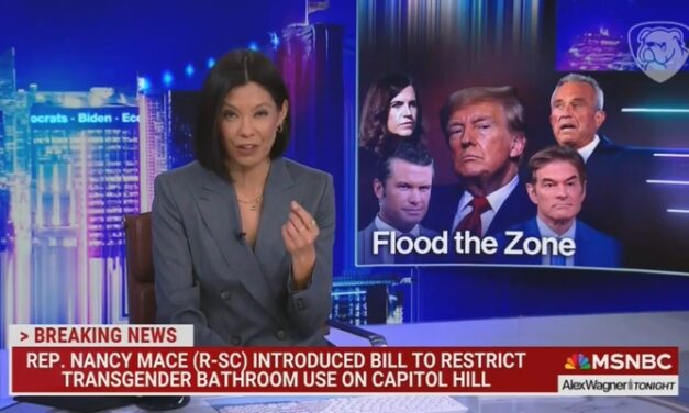 WEIRD: MSNBC’s Alex Wagner is OUTRAGED at Nancy Mace’s Refusal to Pee Next to Dudes