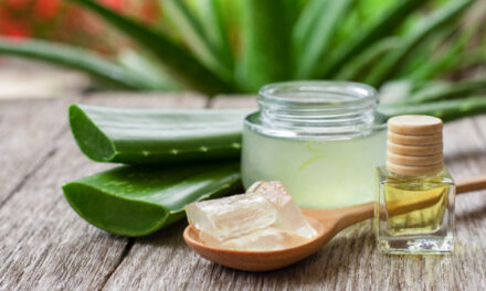 Aloe vera: Nature’s green elixir with science-backed health benefits