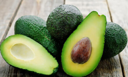 The top 4 healing properties of avocados