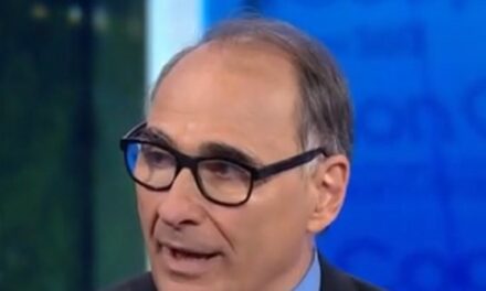 Axelrod: Democrats Imply that Workers ‘Who Make Our Country Go’ Are ‘Less Than’