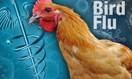 Here We Go: CDC Confirms First-Ever Case of H5N1 Bird Flu in a Child in the U.S.