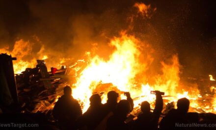 Israeli hooligans provoke clashes in Amsterdam after chanting anti-Palestinian slogans