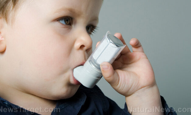 New study links childhood asthma to higher risk of cognitive challenges later in life