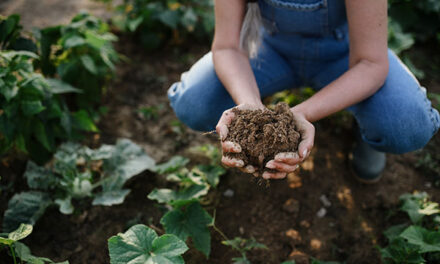 Thomas Massie and Joel Salatin to reportedly help run USDA, will advise on regenerative agriculture – decentralizing farms across the U.S.