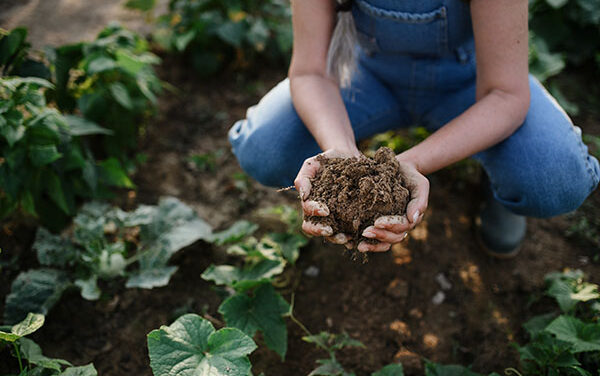 Thomas Massie and Joel Salatin to reportedly help run USDA, will advise on regenerative agriculture – decentralizing farms across the U.S.