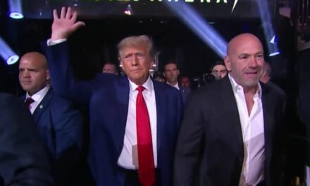 UFC President Dana White Makes Big Political Promise Post-Trump Victory