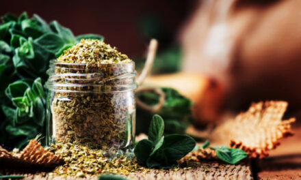 Oregano: A small green leaf with big health benefits