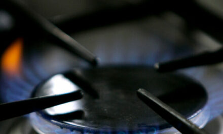 Washington State Voters Pass Initiative to Protect Natural Gas Stoves