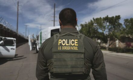 Border Patrol, ICE morale surging after Trump election win: ‘They know they can get the bad guys now’