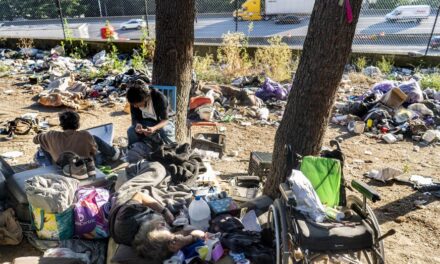 Washington state Democrat pushes to give homeless special civil rights