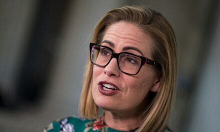 Kyrsten Sinema responds to Democrats admitting filibuster will help them stop Trump agenda: ‘Schadenfreude’