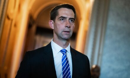 Tom Cotton likely to succeed Marco Rubio in top Intelligence Committee post