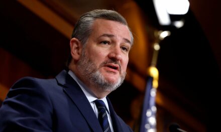 EXCLUSIVE: Sen. Ted Cruz on the Judicial Appointments Senate Fistfight