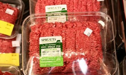 Agriculture Dept announces recall of 167K pounds of ground beef over possible E. coli contamination