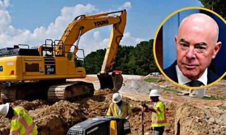 Biden-Harris DHS to Funnel 65K More Foreign Workers into Blue-Collar Jobs