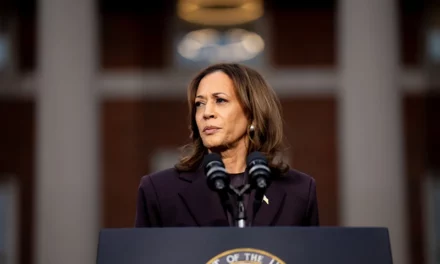 Poll: Democrat Voters Look For A Kamala Harris 2028 Comeback