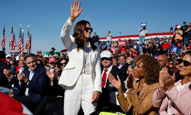 Danica Patrick Trolls Kamala Harris Celebrity Endorsers: ‘I Never Went To A Diddy Party’