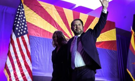 Arizona Senate Race Results