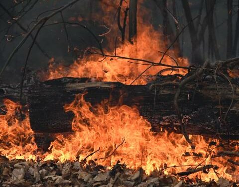 New York firefighter charged with arson for allegedly setting Long Island brush fire