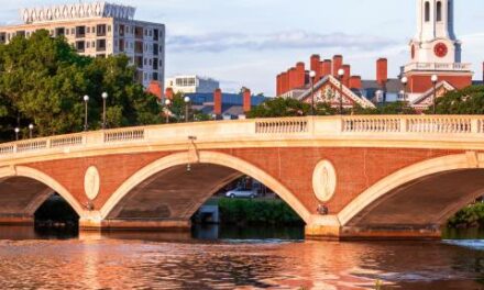 Harvard suspends library access from protesting faculty