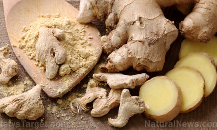 Ginger improves symptoms of ulcerative colitis, enhances quality of life