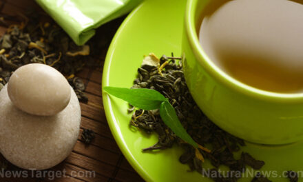 400 Reasons to consume green tea