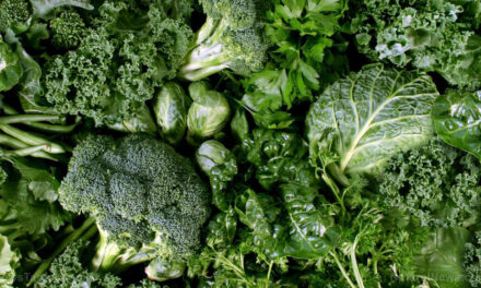 Why daily greens are the real fountain of youth