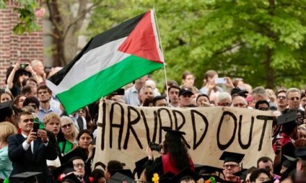 Peter Schweizer: Harvard Canceled Classes After Trump Won, but Not After the October 7 Hamas Massacre