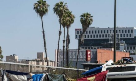 Los Angeles Votes to Raise Sales Tax to Fund Homeless Services