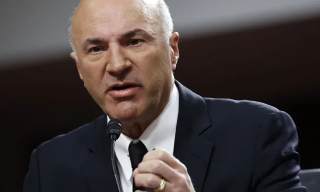 Kevin O’Leary Weighs in on DOGE: ‘Release the Hounds’ (Video)