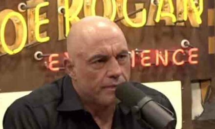 Joe Rogan: Many Celebrities Secretly Thanked Me for Endorsing Trump