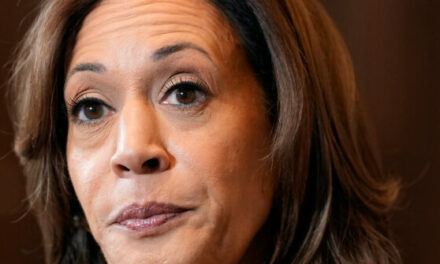 Kamala Harris Won’t Speak Tonight as Supporters Despair at Outcome