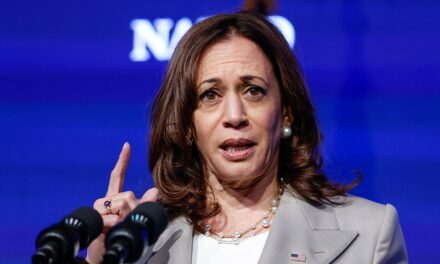 Harris disappears from spotlight, vacations in Hawaii after election loss