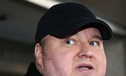 Internet Mogul Kim Dotcom Suffers ‘Serious Stroke’ Ahead of Extradition to U.S.