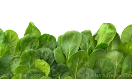 One serving of greens daily slows brain aging by over a decade