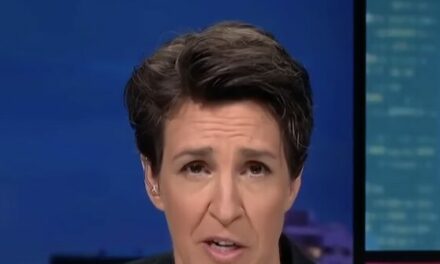 MSNBC’s Maddow: Is Trump Trying to ‘Destroy the U.S. Government’ with Cabinet Picks?