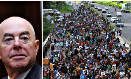 Retired Border Patrol Agent: Mayorkas Has Aided ‘Largest Mass Invasion into America the World Has Ever Seen’