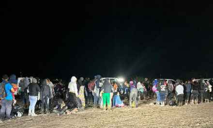 VIDEO: 7 Iranians Found in Large Migrant Group at Texas Border