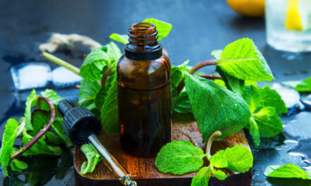 Mint: The ancient herb that refreshes, soothes and heals