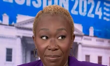 MSNBC’s Joy Reid: Florida an ‘Extreme Right-Wing Fascist State’