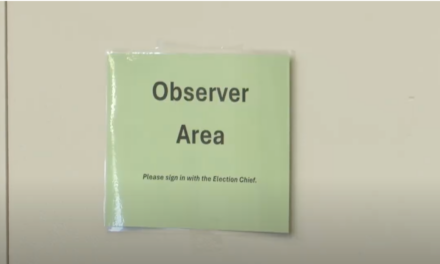 Wisconsin Poll Watcher Warns That Observers Are Being Taught To Be ‘Delicate’ On Election Integrity Issues