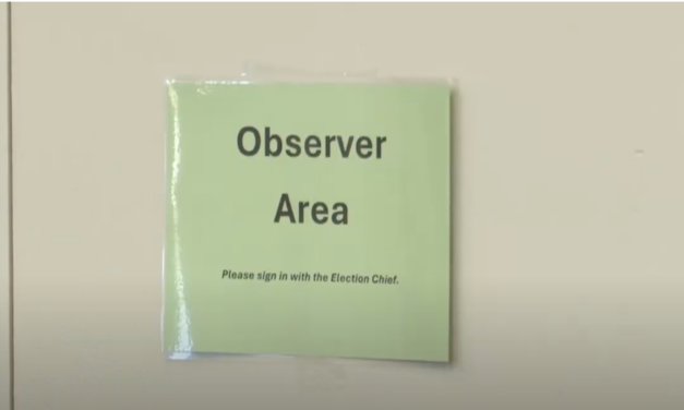 Wisconsin Poll Watcher Warns That Observers Are Being Taught To Be ‘Delicate’ On Election Integrity Issues