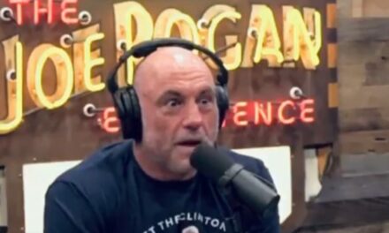 Joe Rogan Reveals ‘Hilarious’ Reason Kamala Harris Was Too Scared To Do His Show