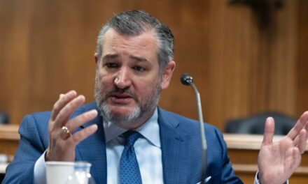 Ted Cruz urges White House to halt $1.25B in ‘digital equity’ funds