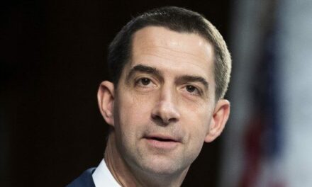 Exclusive — Tom Cotton: I Don’t See a Silent Kamala Voter, but There Is Likely ‘Yet Again a Silent Trump Voter’