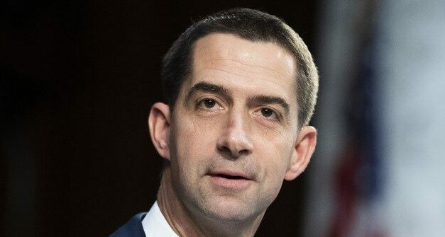 Tom Cotton Elected Senate Republican Conference Chair