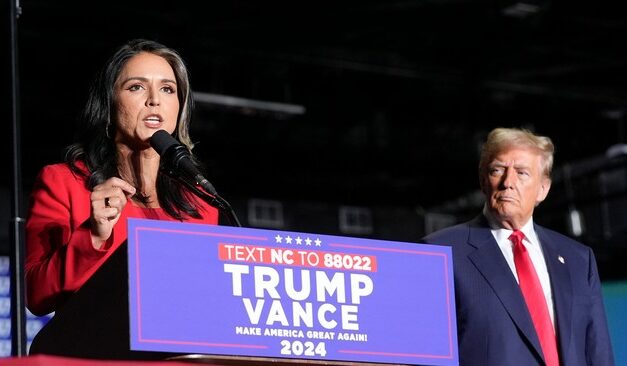 BREAKING: Now We Know What Role Tulsi Gabbard Will Play in the New Trump Administration