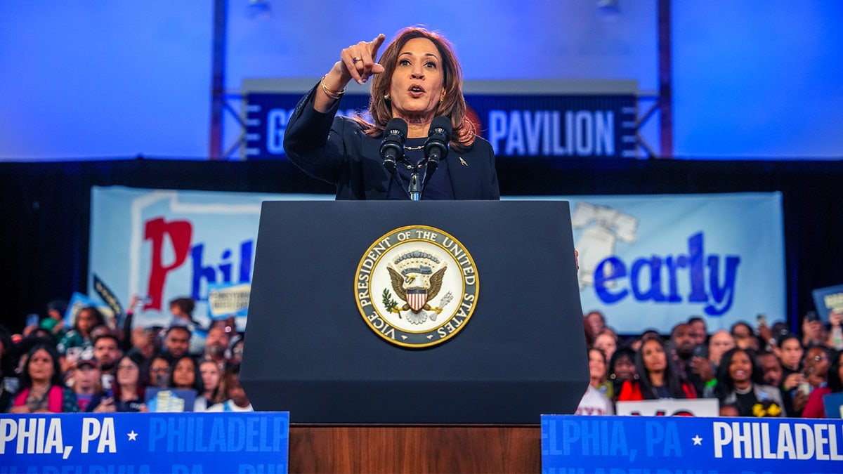 Democratic presidential nominee Vice President Kamala Harris speaks during a campaign rally at The Alan Horwitz 